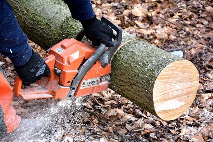 Tronçonnage d'un tronc d'arbre abattu